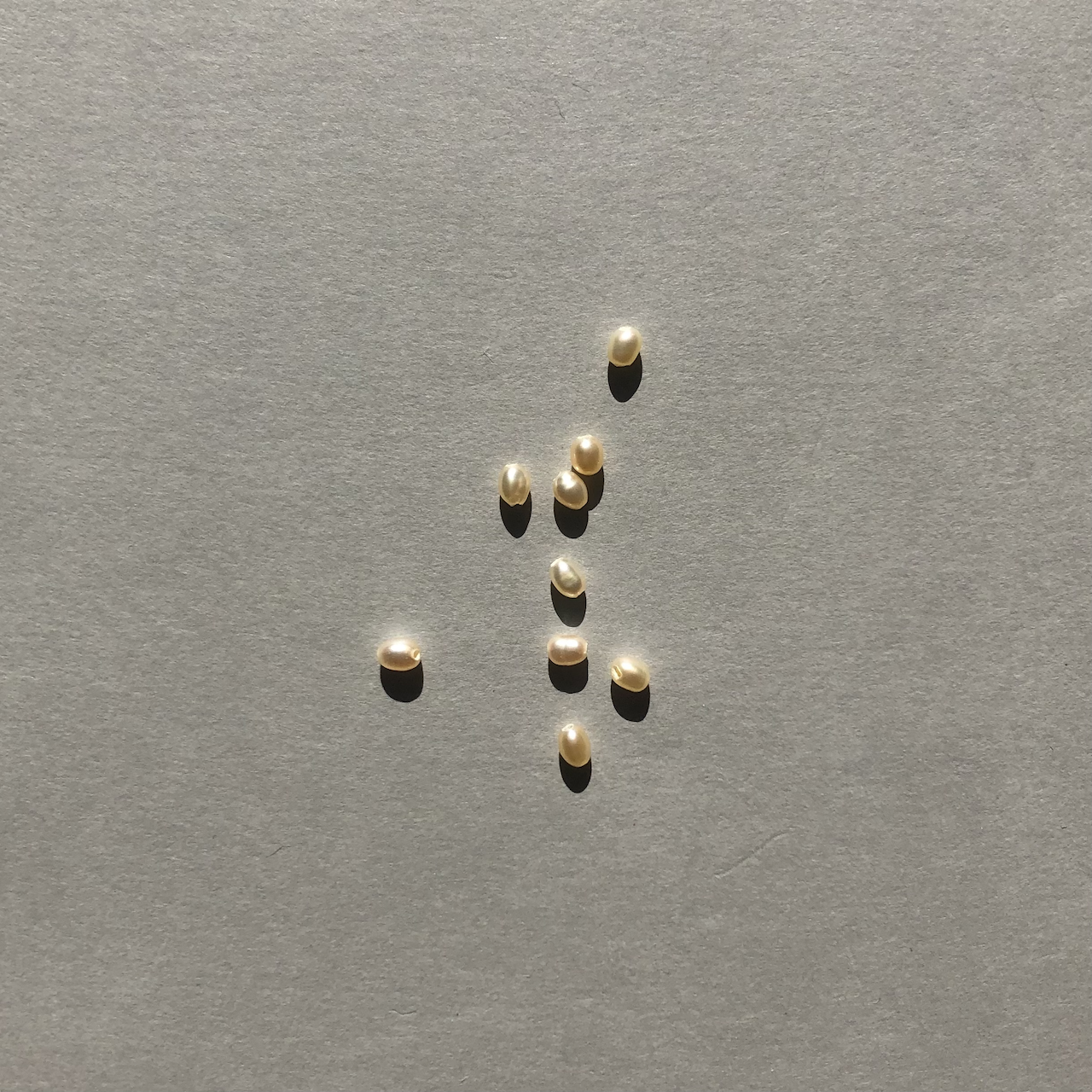 パールの種類