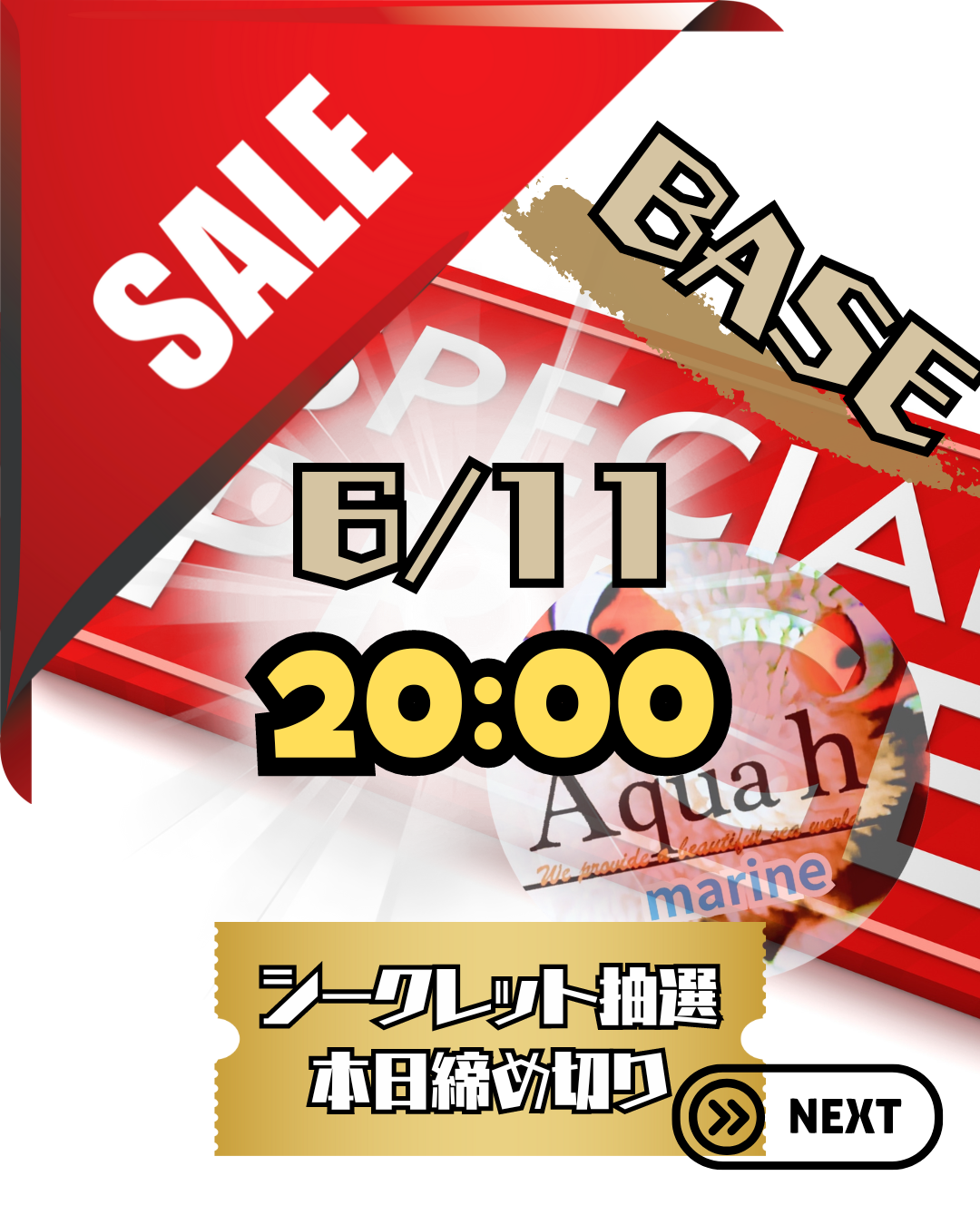サンゴ通販｜Aqua h|ブログ始めました。