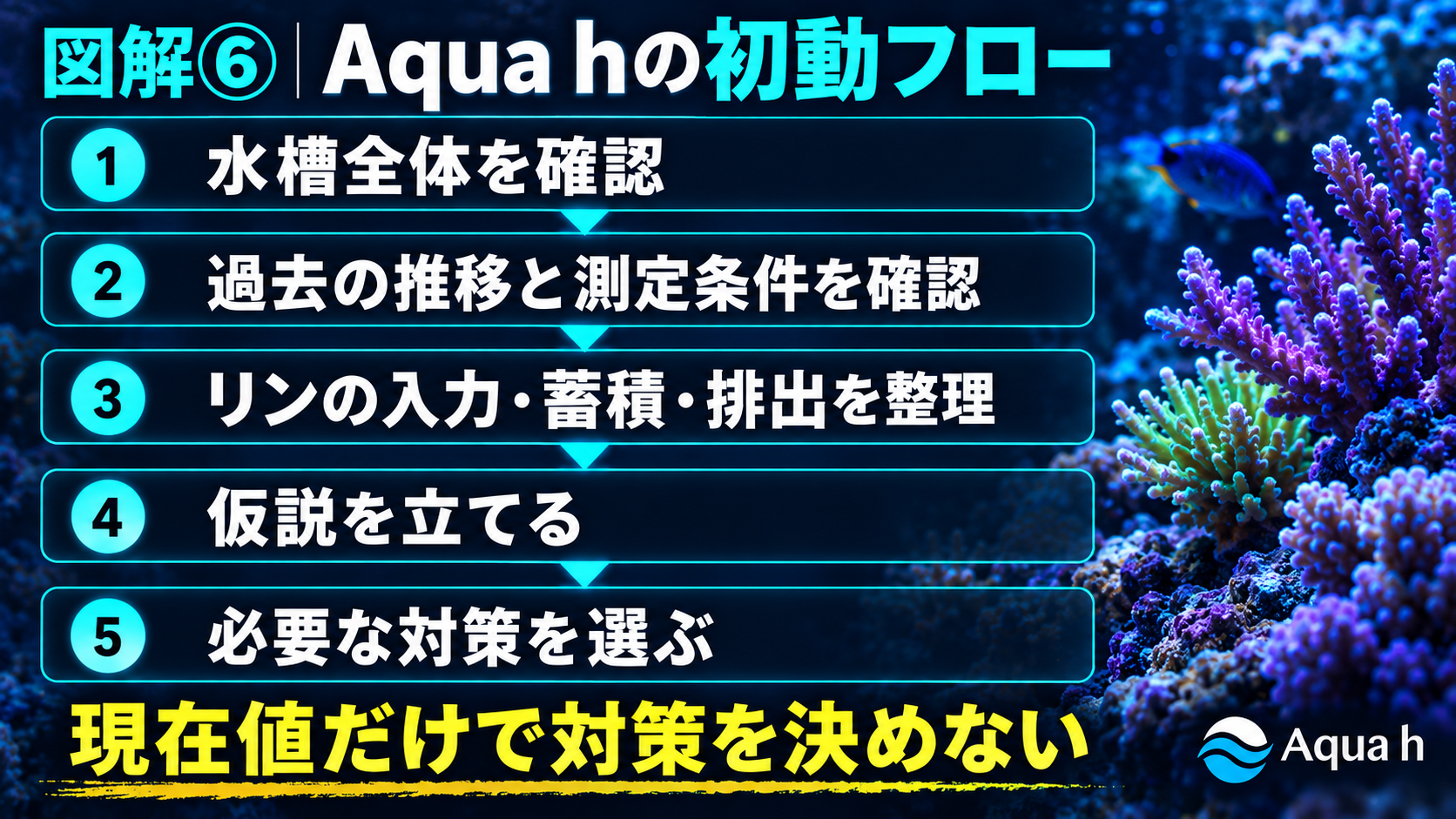 【後編・最終回】リン酸塩地獄からどう抜け出す