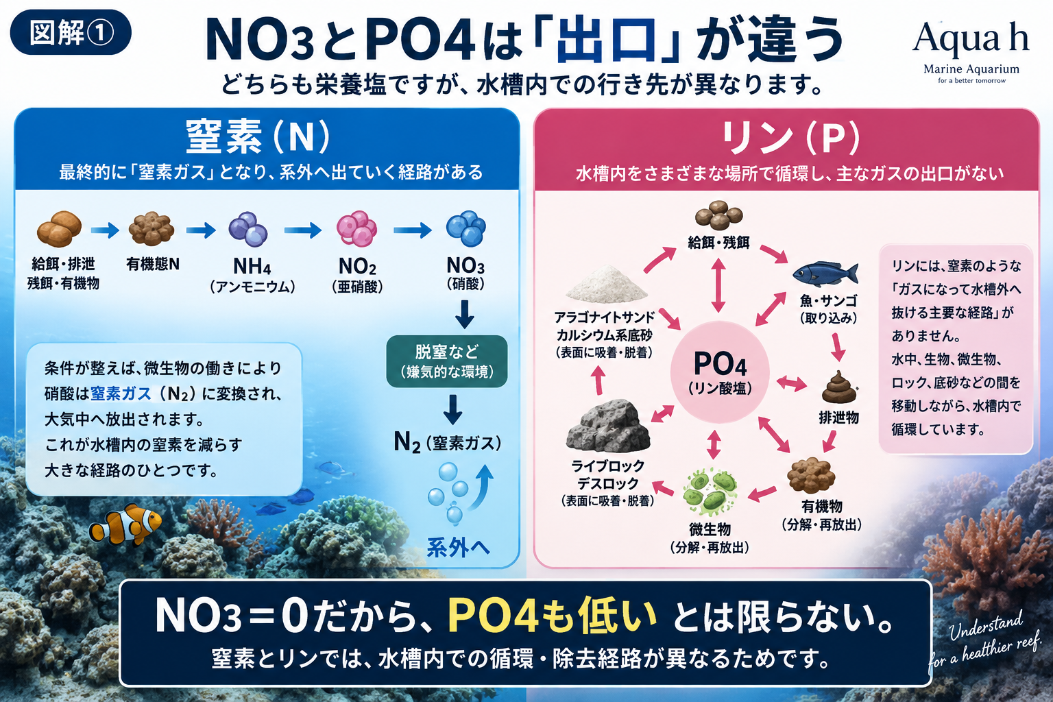 【前回の続編・前編】リン酸塩地獄からどう抜け出す？