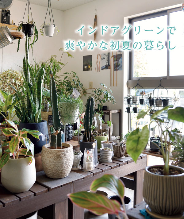 Vol.53 『アテナータ』で出逢う、心癒やされる爽やかな暮らし