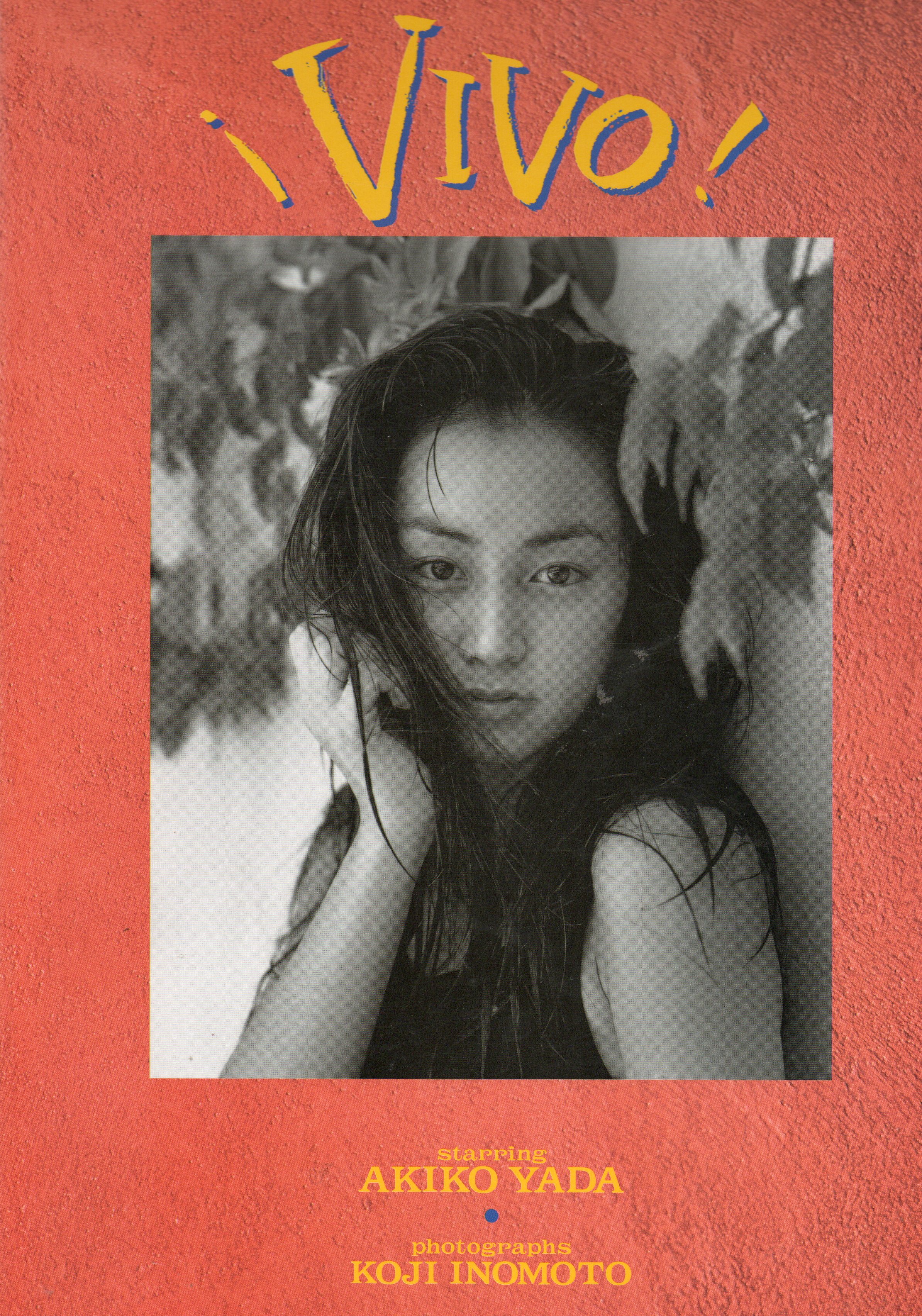 ヴィーヴォ―矢田亜希子写真集