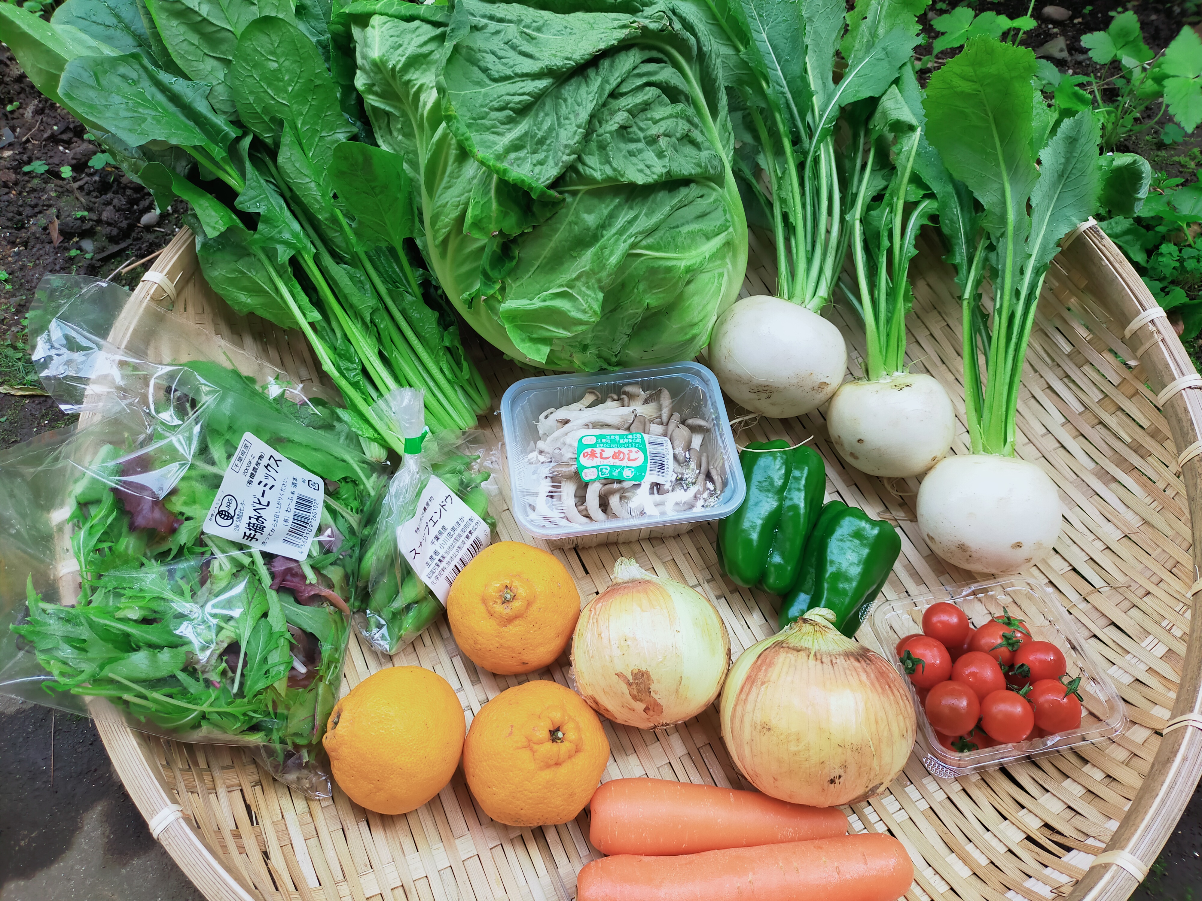 『有機・減農薬野菜の詰め合せセット』の販売しております☆