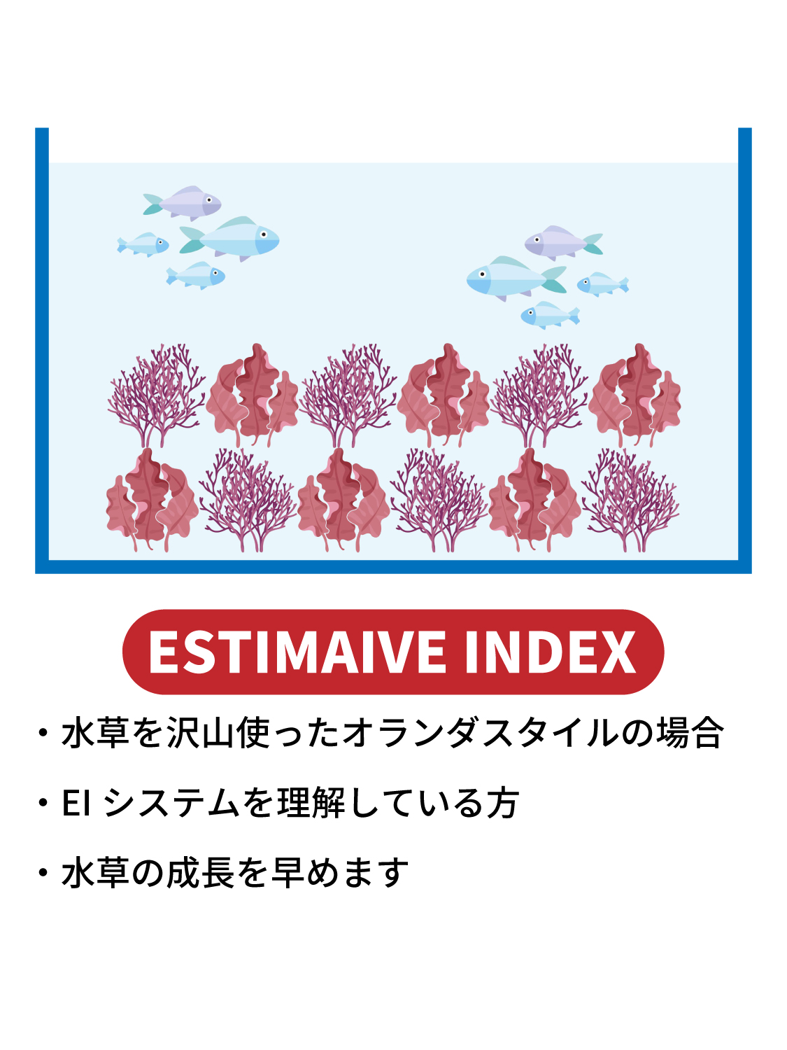 【APT水草肥料シリーズから新商品のご紹介】水草の成長を早める液体肥料 APT EI