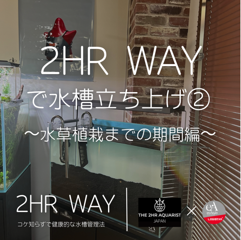 2HRWAY で水槽立ち上げ②　《水草植栽までの期間編》