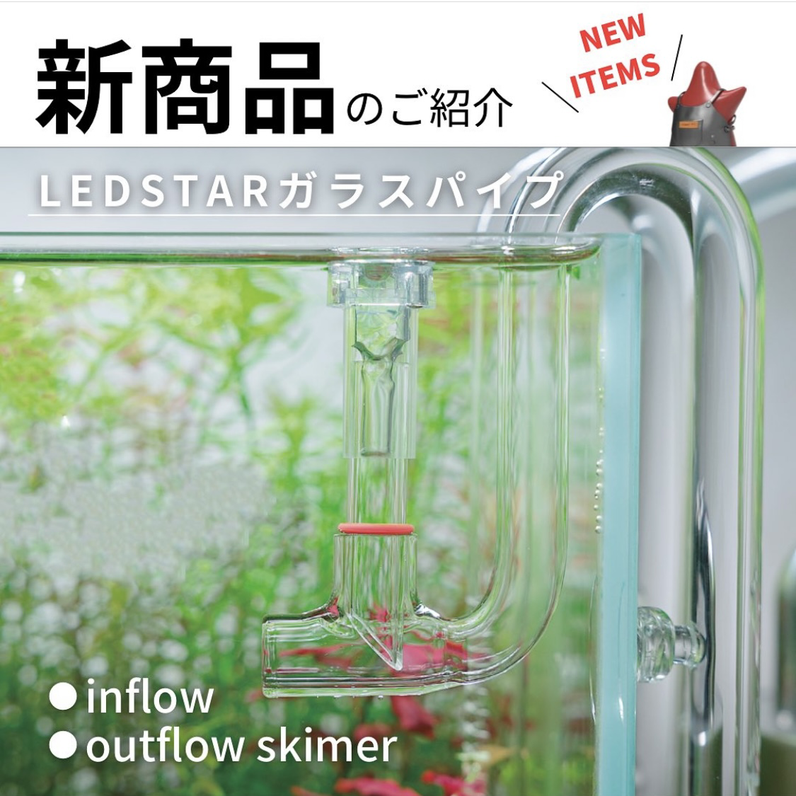 【美しいガラスパイプ】ＬＥＤＳＴＡＲから新商品のご紹介
