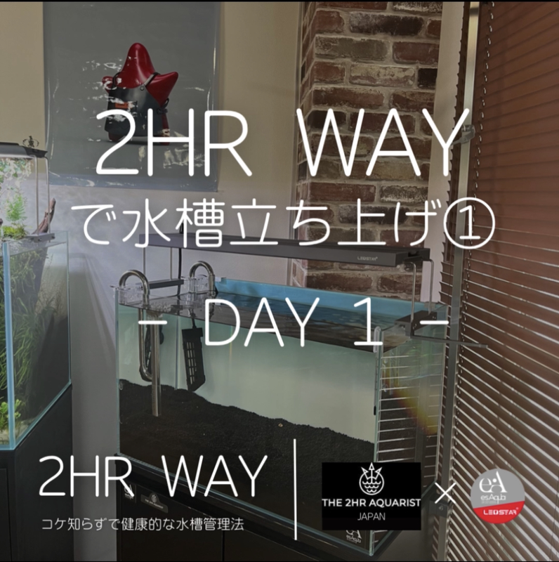 ２HRで水槽立ち上げ①　１日目