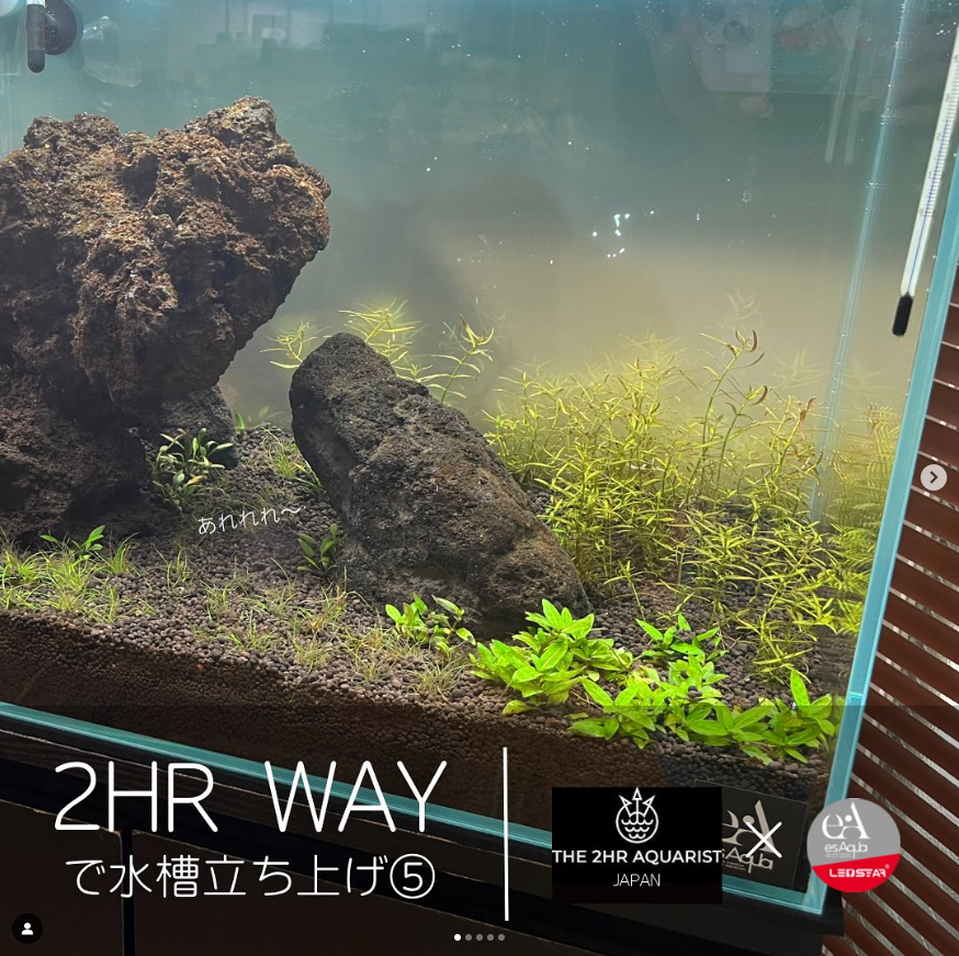 2HRWAY で水槽立ち上げ⑤《あんまり言いたくない水槽の不調編》