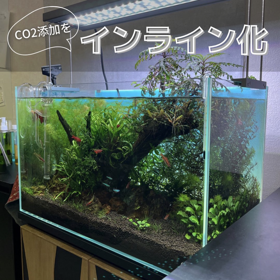 CO2添加をインライン化してみました♪