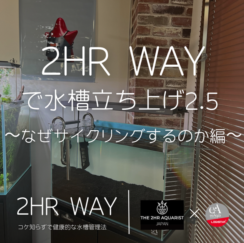 2HRWAYで水槽立ち上げ2.5　～そもそもなぜサイクリングして立ち上げるべきなのか編～