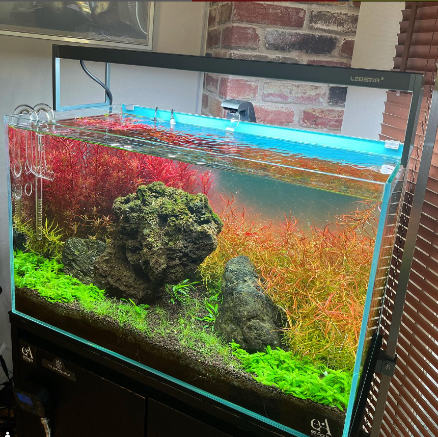 60ＣＭ水槽復活！