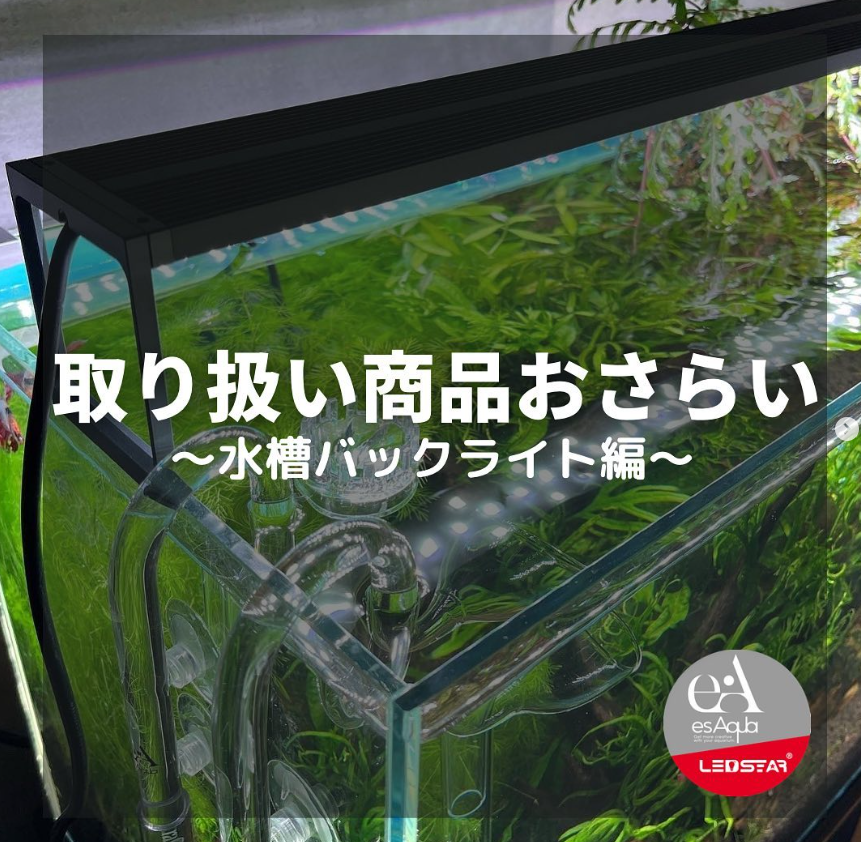 esAquaオリジナル　水槽バックスクリーン　商品ラインナップ　