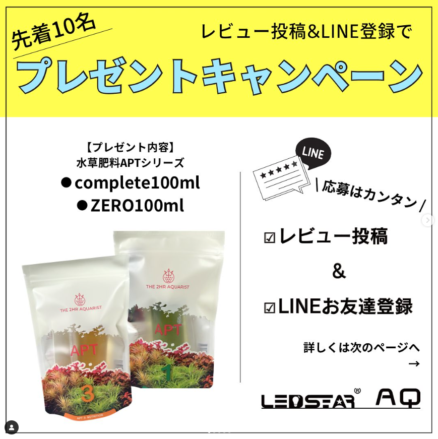 \レビューとLINEお友達登録で プレゼントキャンペーン実施中/