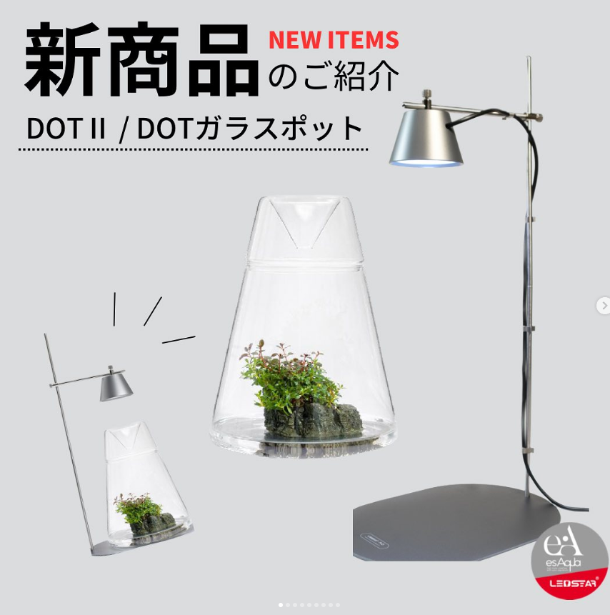 新商品のご紹介