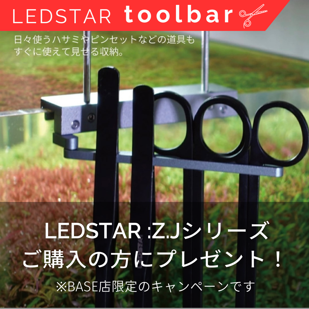 【BASE店限定キャンペーン】Z2・J2のご購入で便利なToolbarプレゼント‼