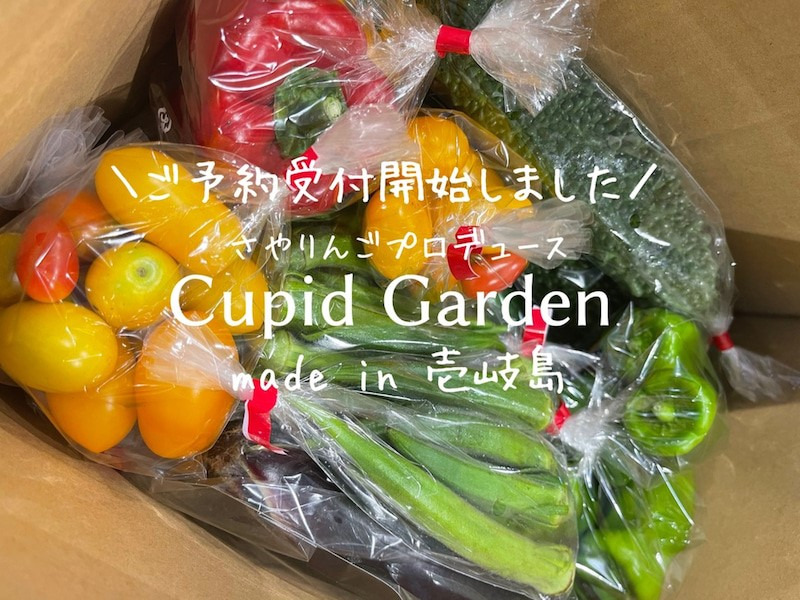 【予約開始】Cupid Garden壱岐島のお野菜セット！