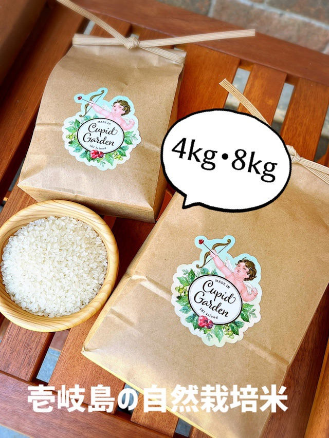 壱岐島の自然栽培米の販売開始です❤️
