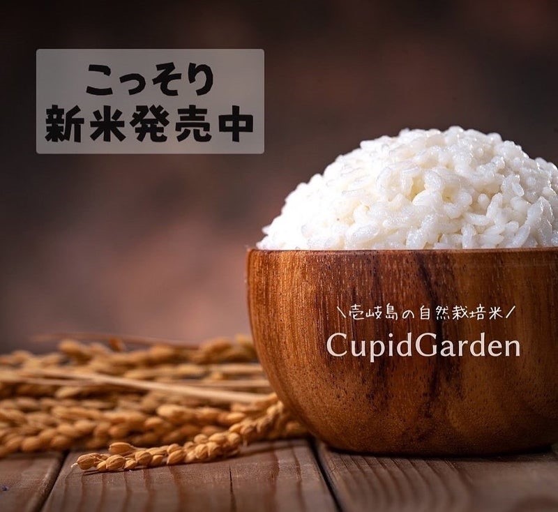 【新米】壱岐島の自然栽培米、発売開始！