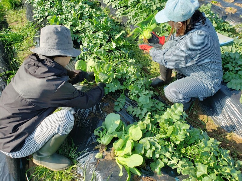 何者でもないから、何者にでもなれる。