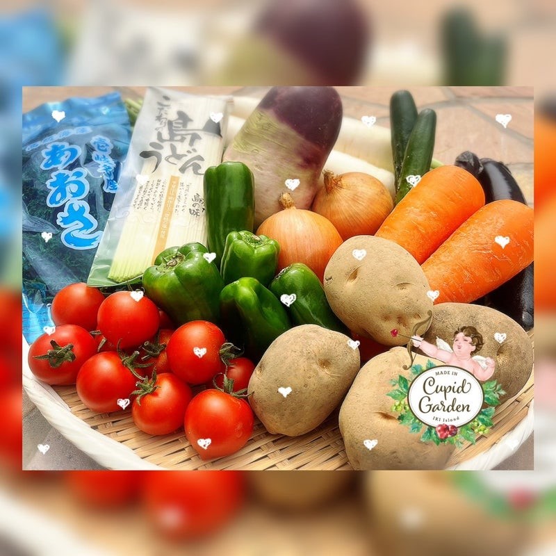 【完売】生命力溢れる壱岐島の野菜。メロンもすくすく育ってます♪