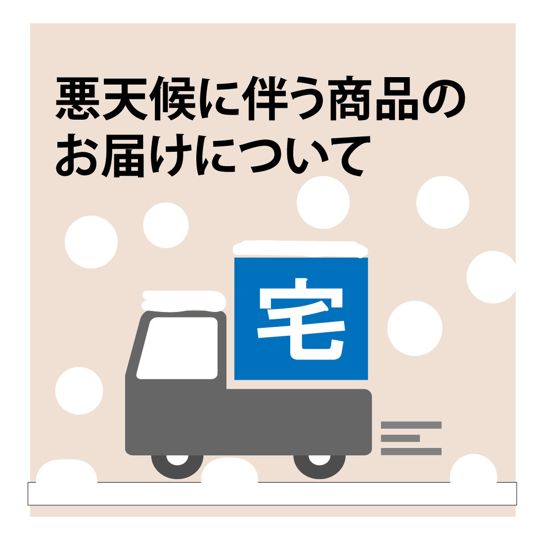 悪天候(大雪)の影響によるお荷物のお届けについて