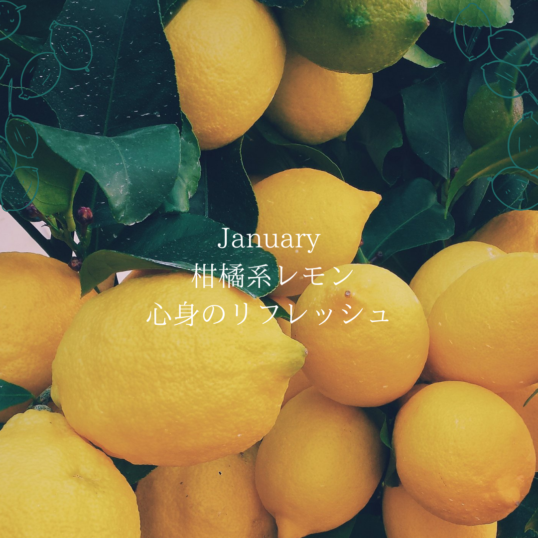 1月　柑橘系レモンの香り