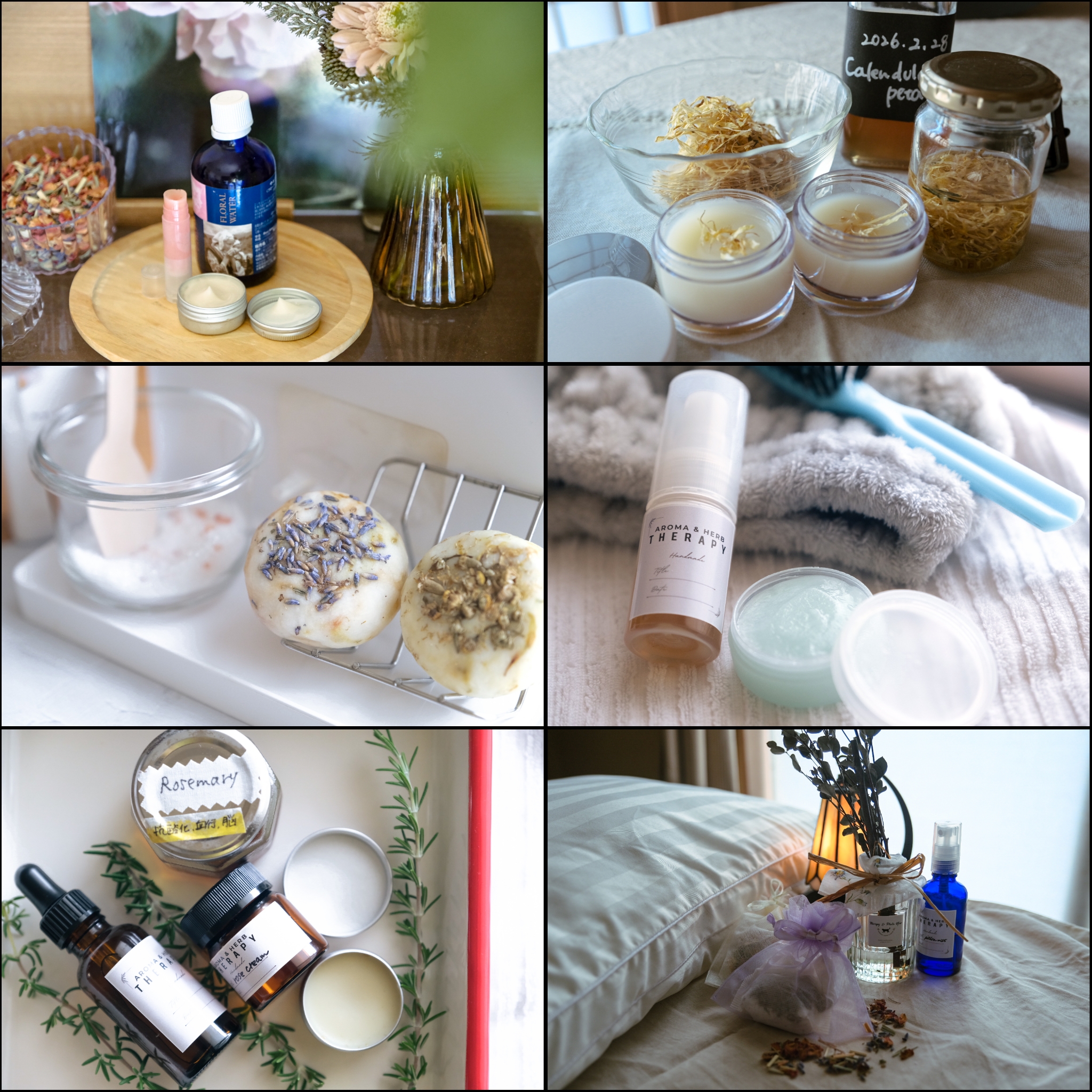 ジェットコースターの１年