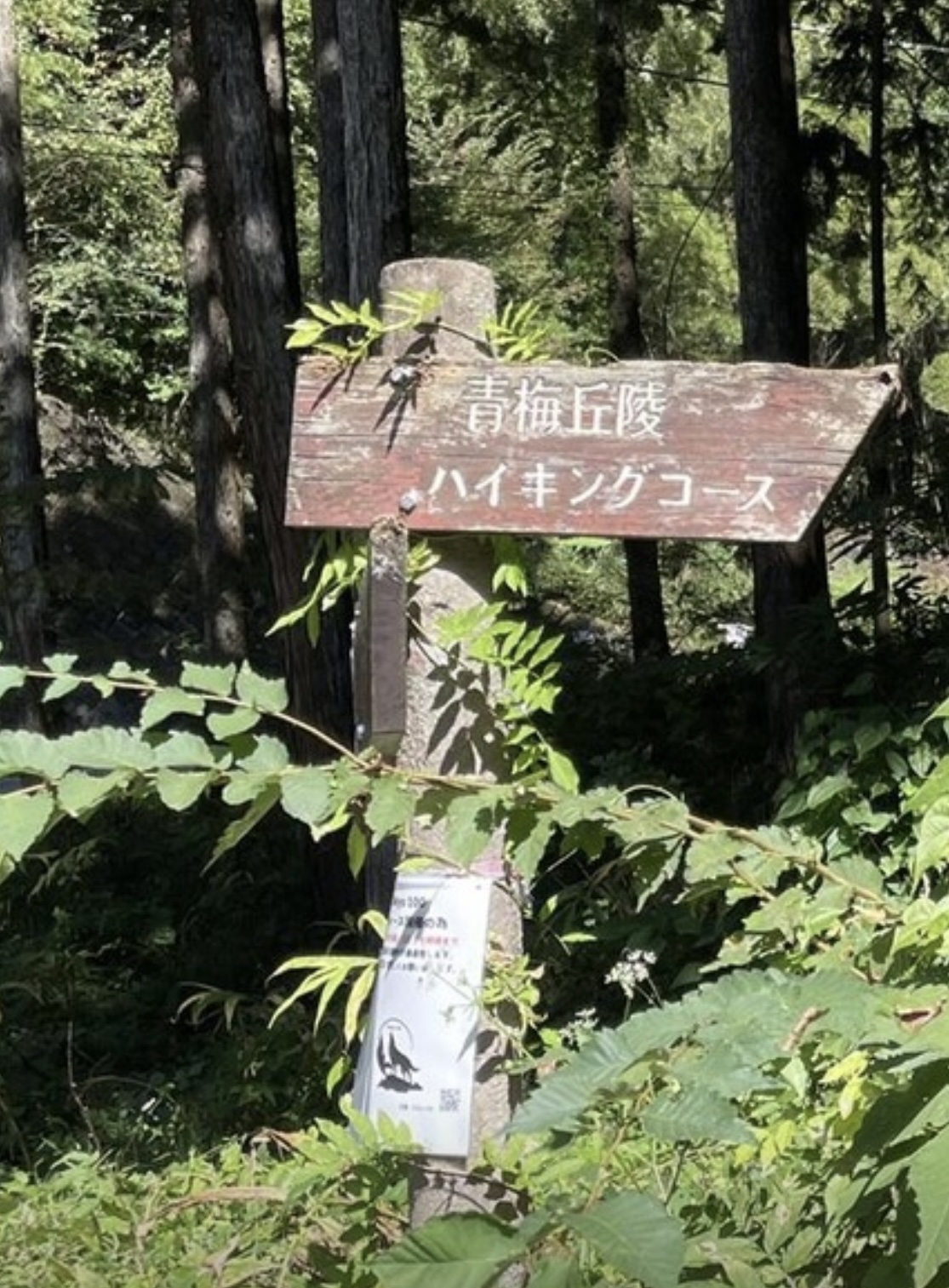 青梅丘陵ハイキングロングコース