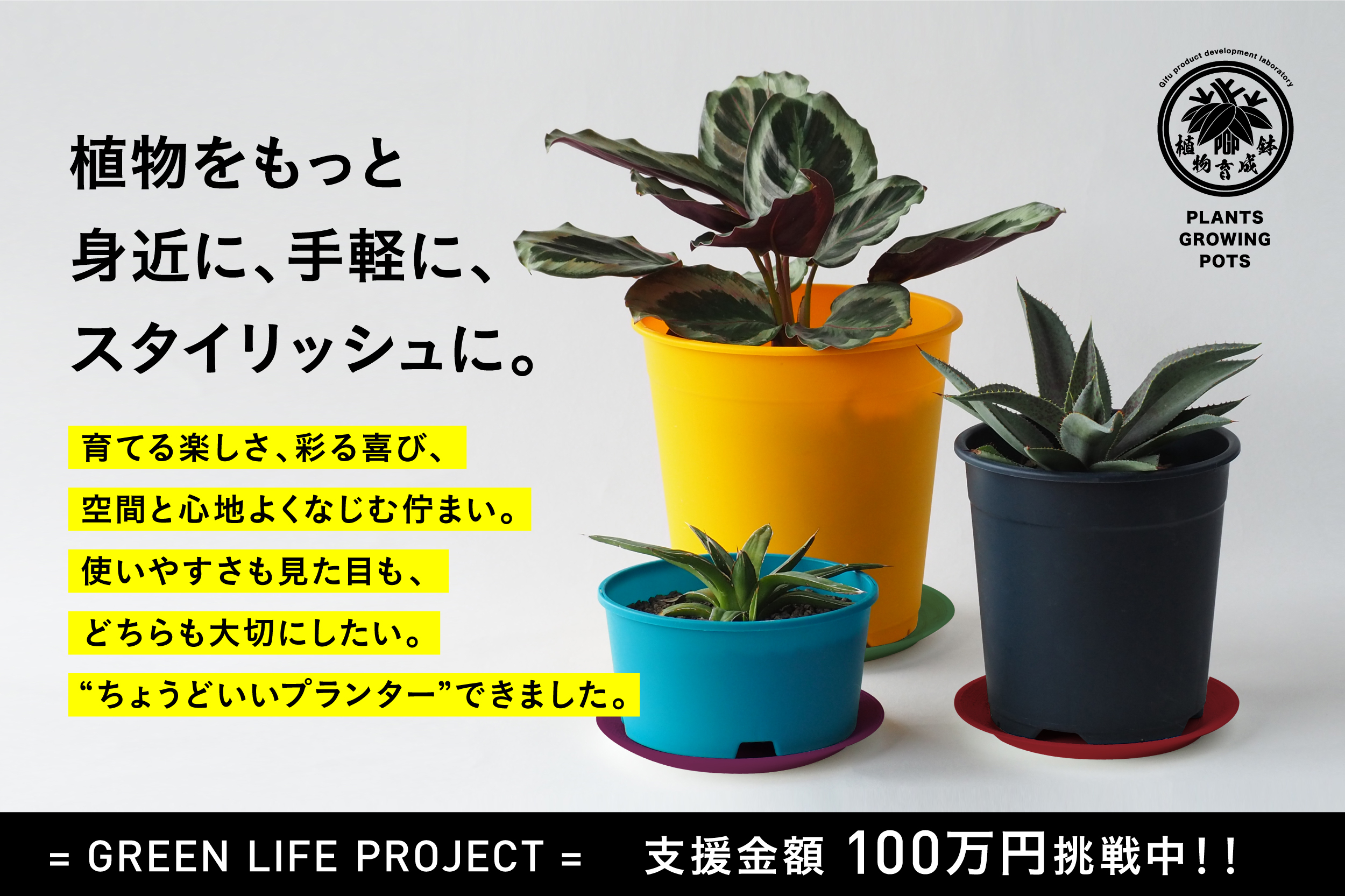 「PGP専用受け皿」クラウドファンディング、はじまりました