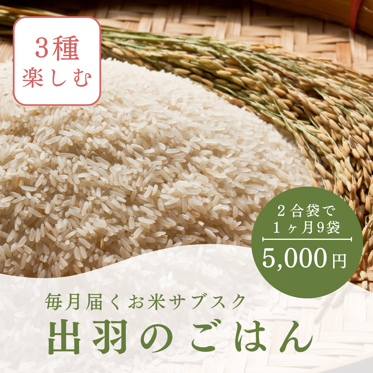 「毎日の食卓に安心と美味しさを――お米サブスクリプションサービス「出羽のごはん」の魅力」