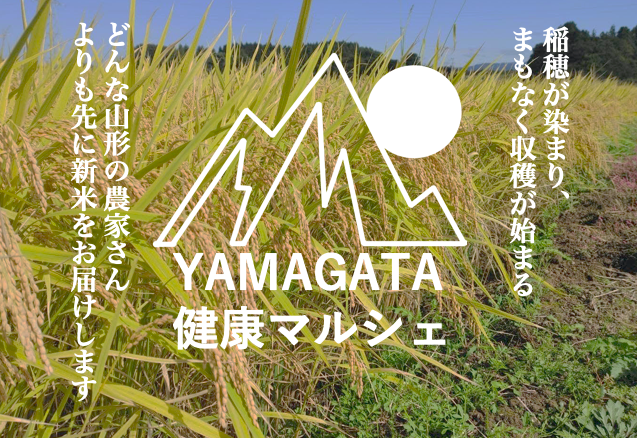 【注目！】新米を食べると美味しい理由をおさらいしよう