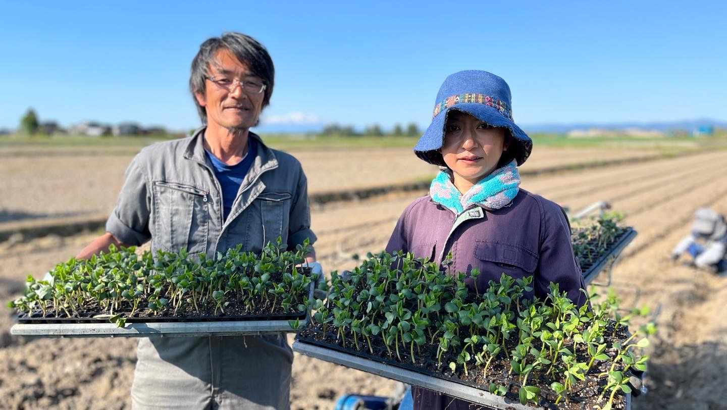 山形農業応援ブログ「だだちゃまめ」齋藤さん