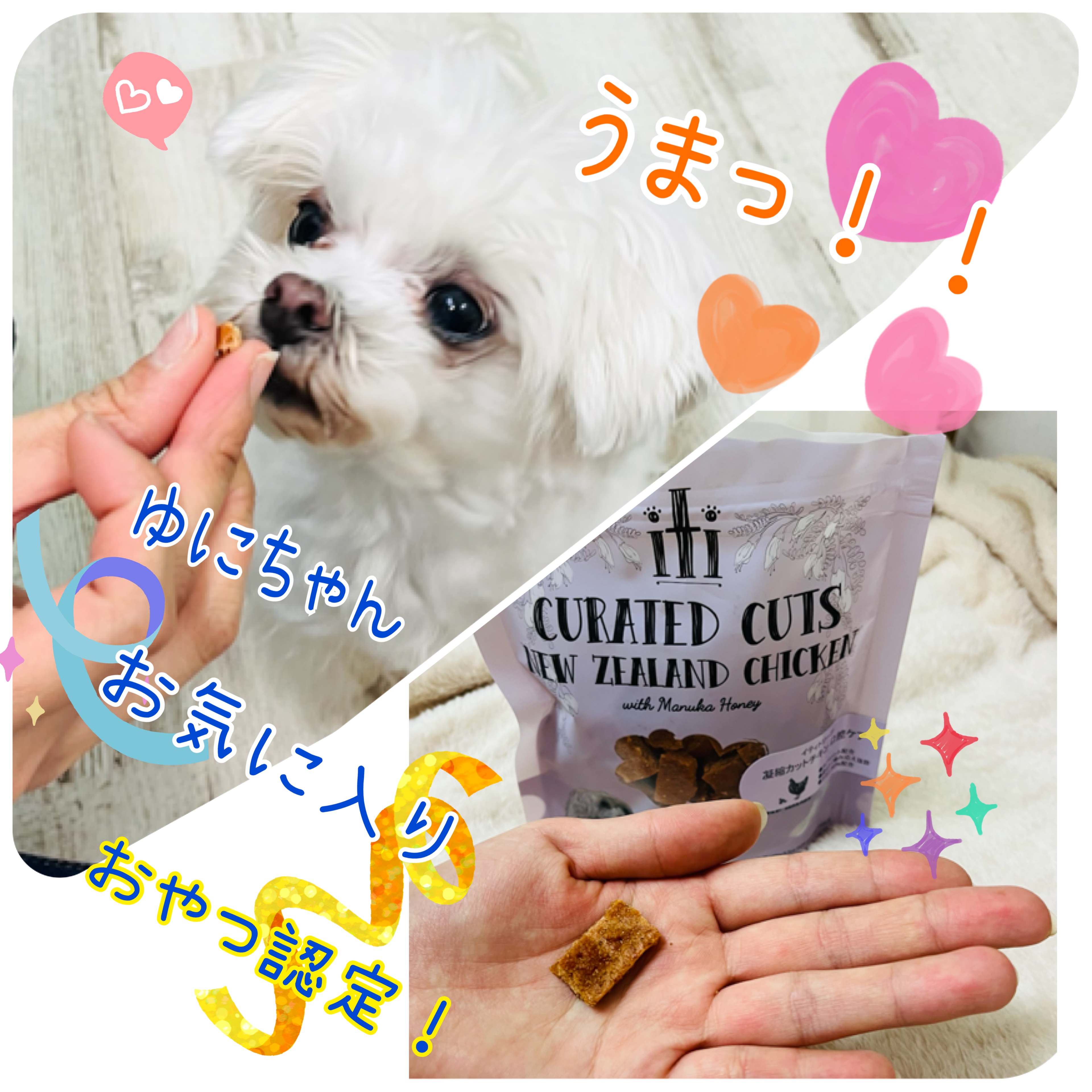 ☆おすすめおやつ（モデル犬ゆにちゃんお気に入り♡）
