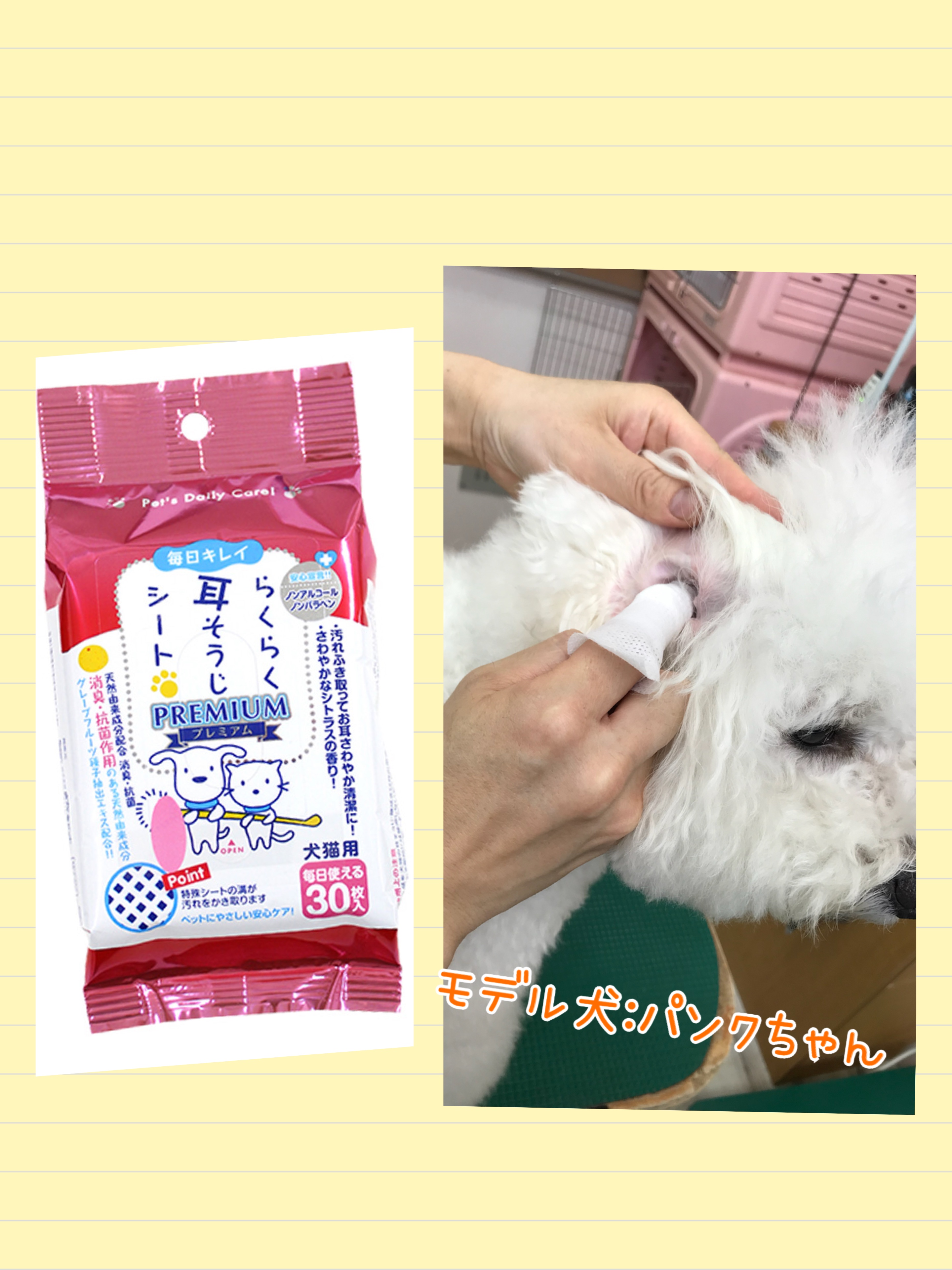 お家でも簡単！お耳のケアシート☆