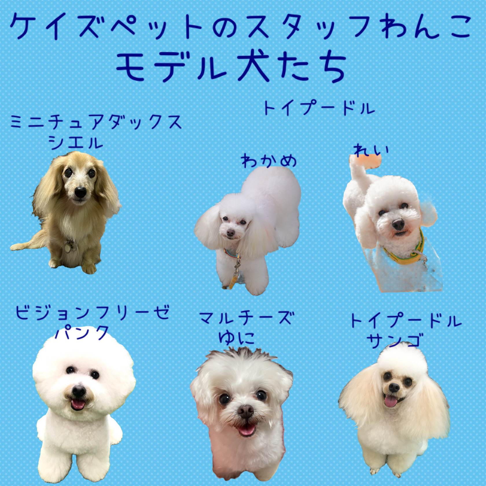 ☆ごあいさつ☆