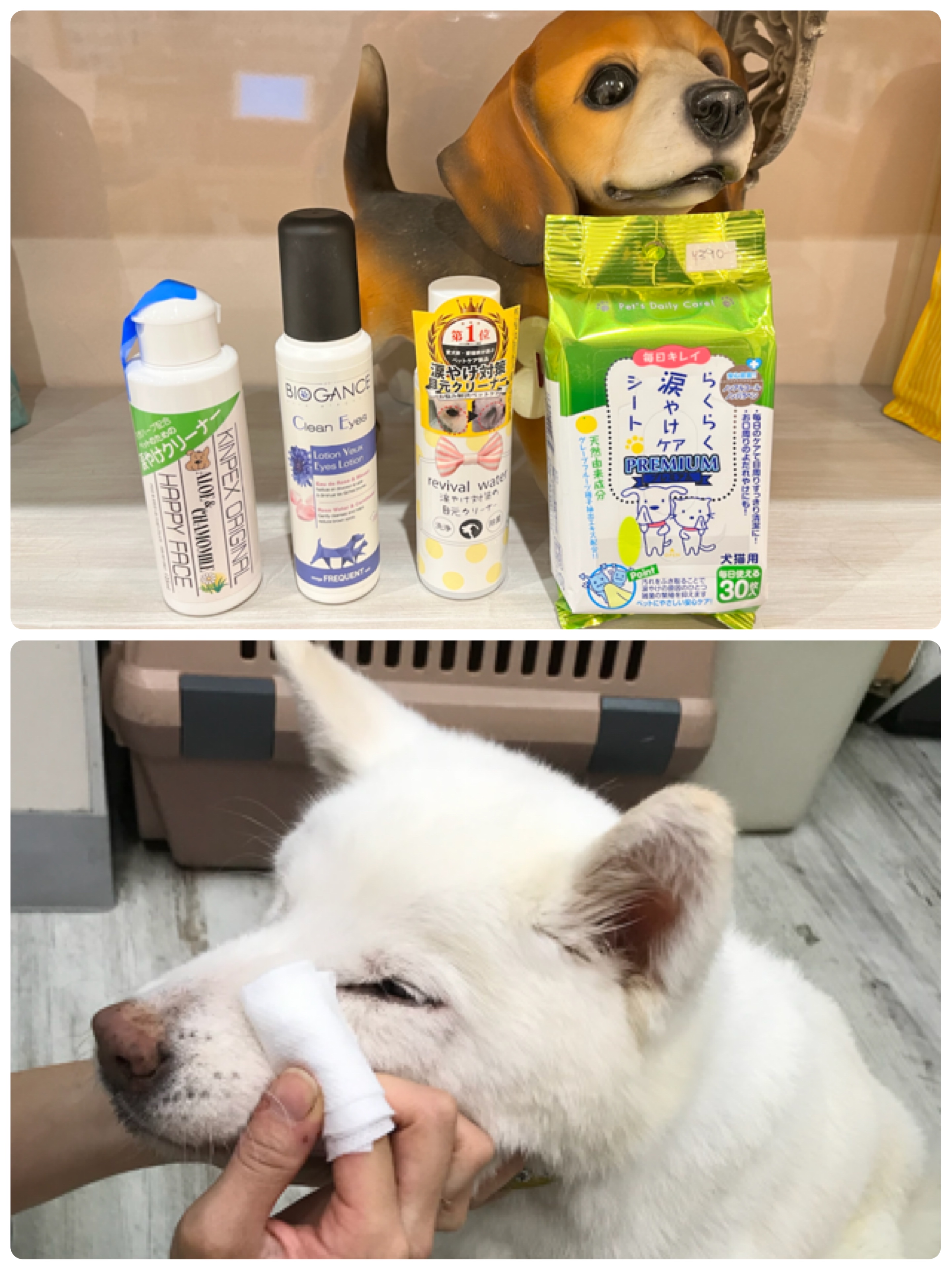 ☆涙やけのケアに☆