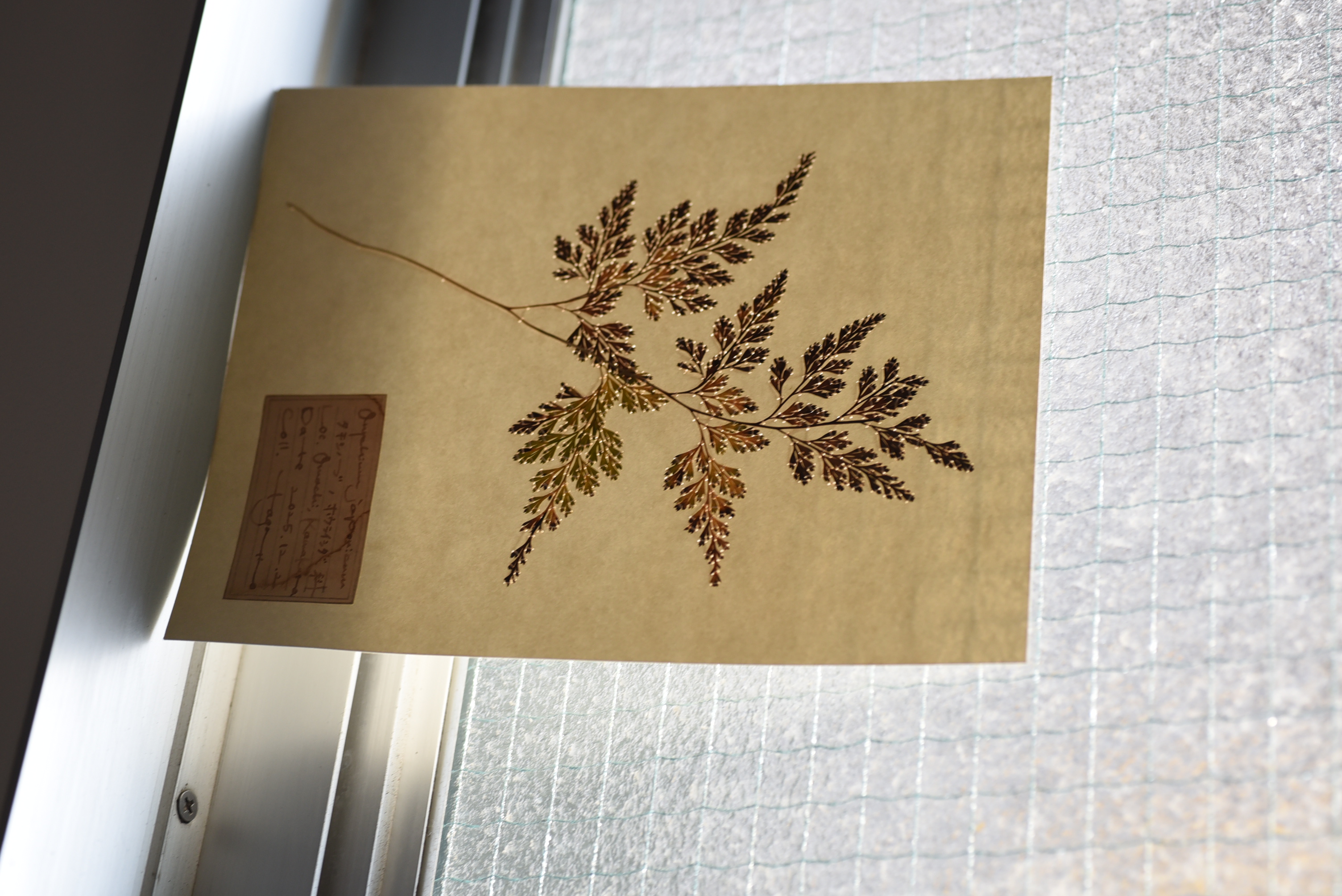 tagotto　個展　-春への導き-　　2026.2.13fri-22sun ※会期中2/17tue