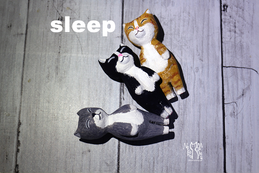 猫のまんま　日々好日　　睡眠