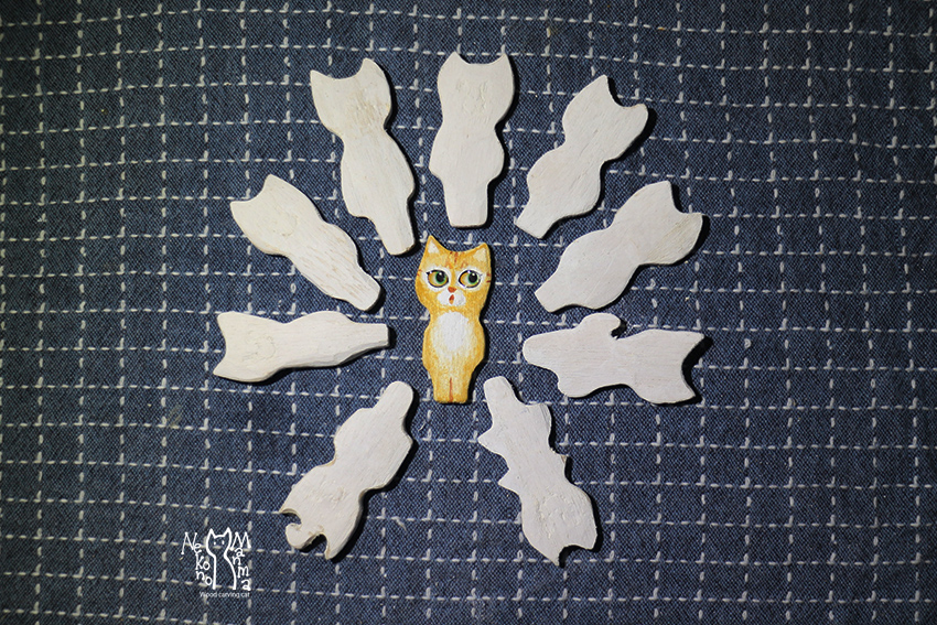 猫のまんま　日々好日　増殖
