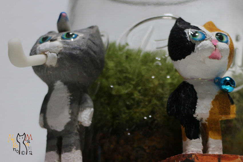 猫のまんま　日々好日　アクシデントから発展