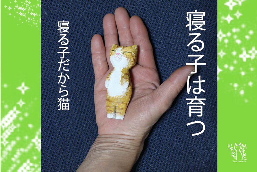 猫のまんま　日々好日　　睡眠