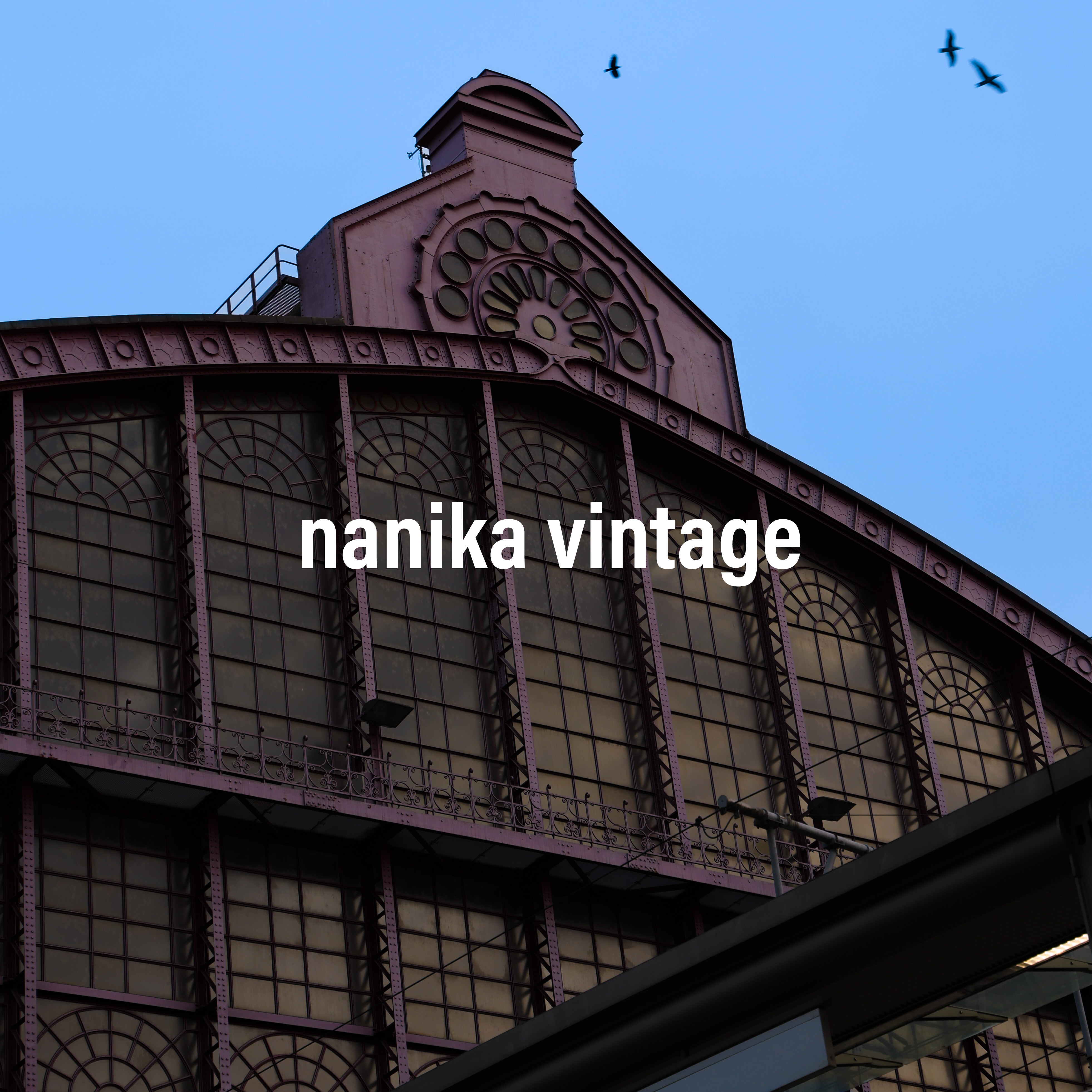 We ship worldwide 🌍