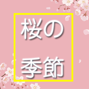 花見最後のチャンス!週末は花散らしというけど・・・