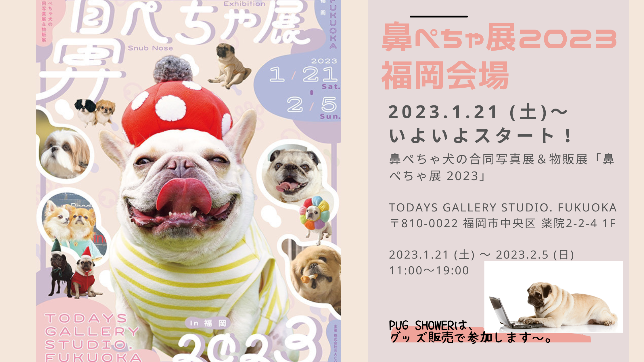 鼻ぺちゃ展2023in福岡　2023.1.21（土）～　いよいよ開催！