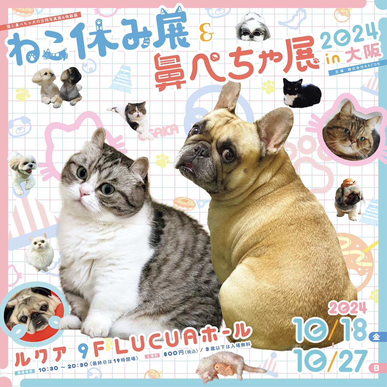 鼻ぺちゃ展 2024 in 大阪　開催情報です。