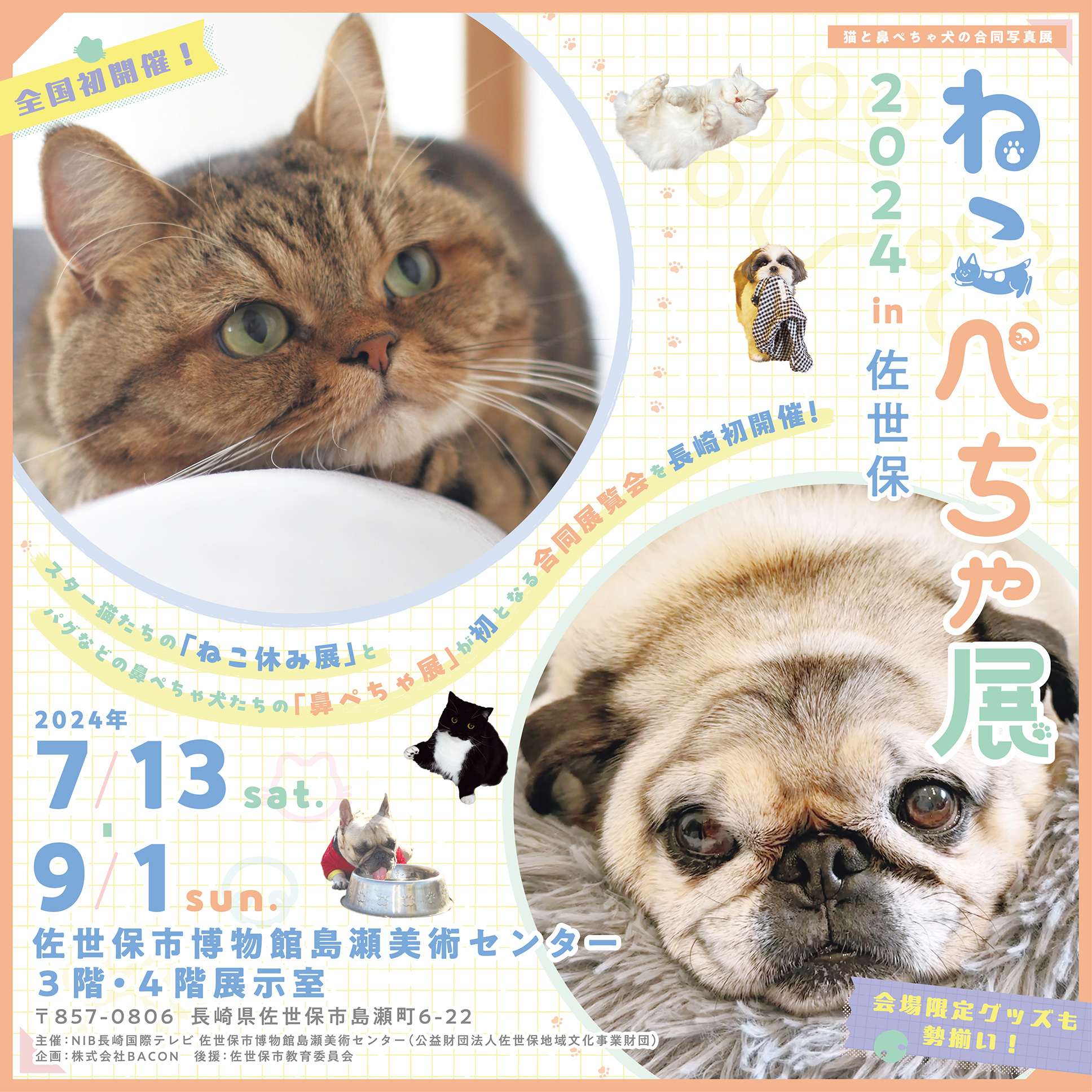 ねこぺちゃ展2024 in佐世保　に出店します。