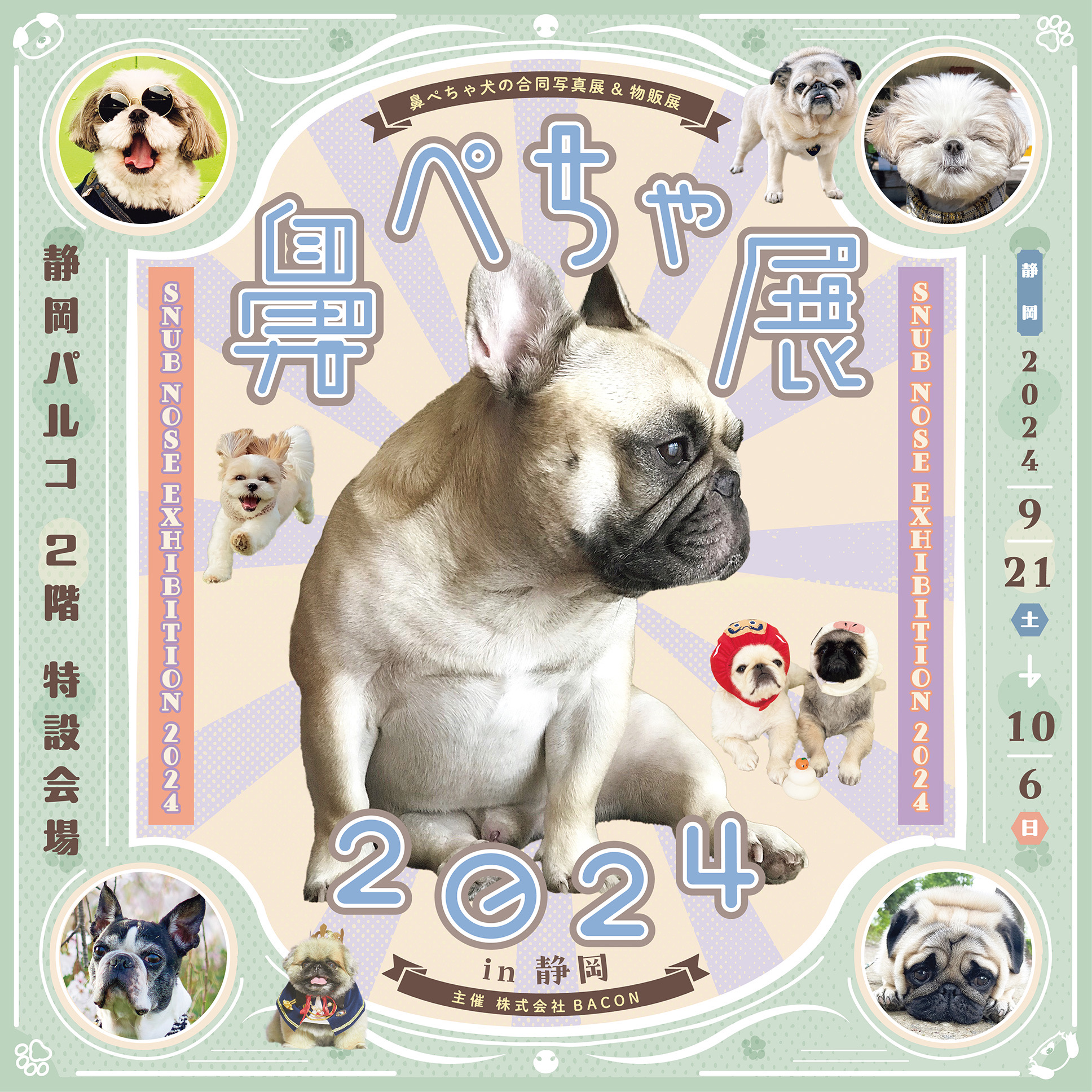 鼻ぺちゃ展　静岡PARCOで開催します！