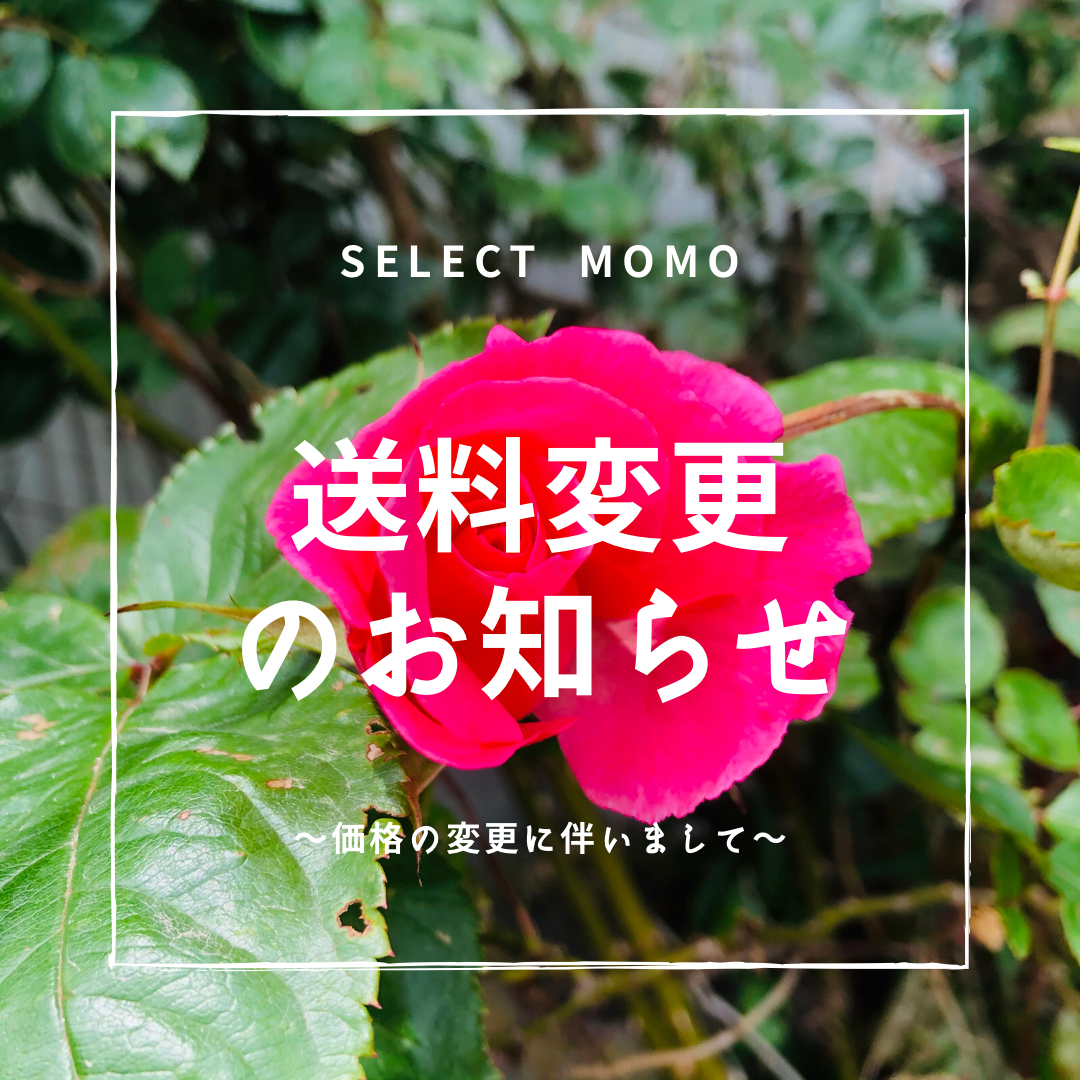送料変更のお知らせ