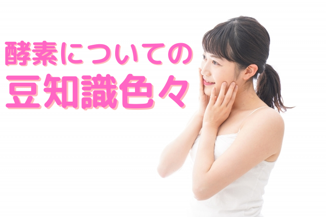 酵素についての豆知識色々！