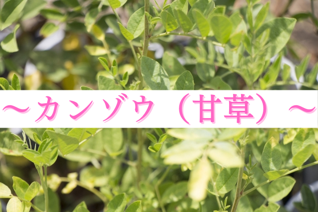 〜カンゾウ（甘草）〜天然の植物性甘味料